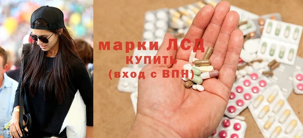индика Абаза