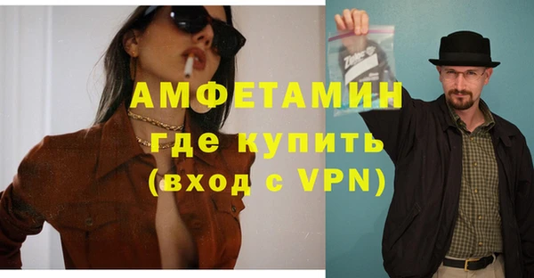 индика Абаза