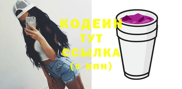 индика Абаза