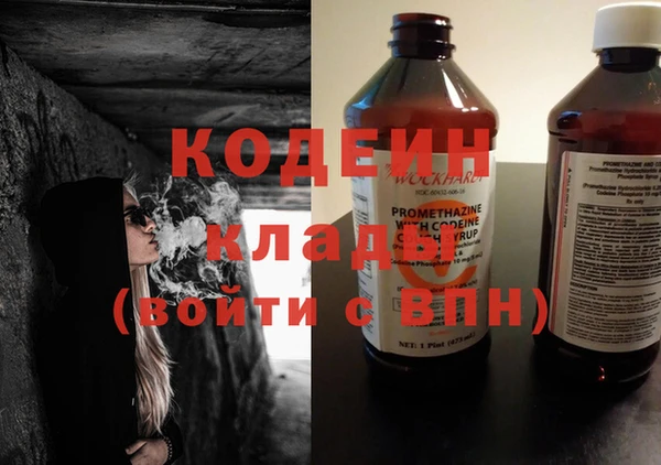 индика Абаза
