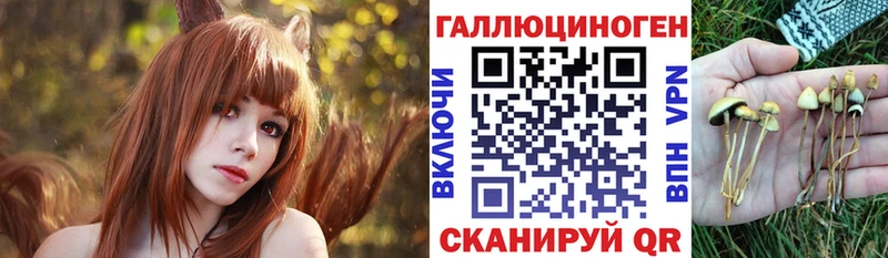 где купить наркоту  Княгинино  Псилоцибиновые грибы прущие грибы 